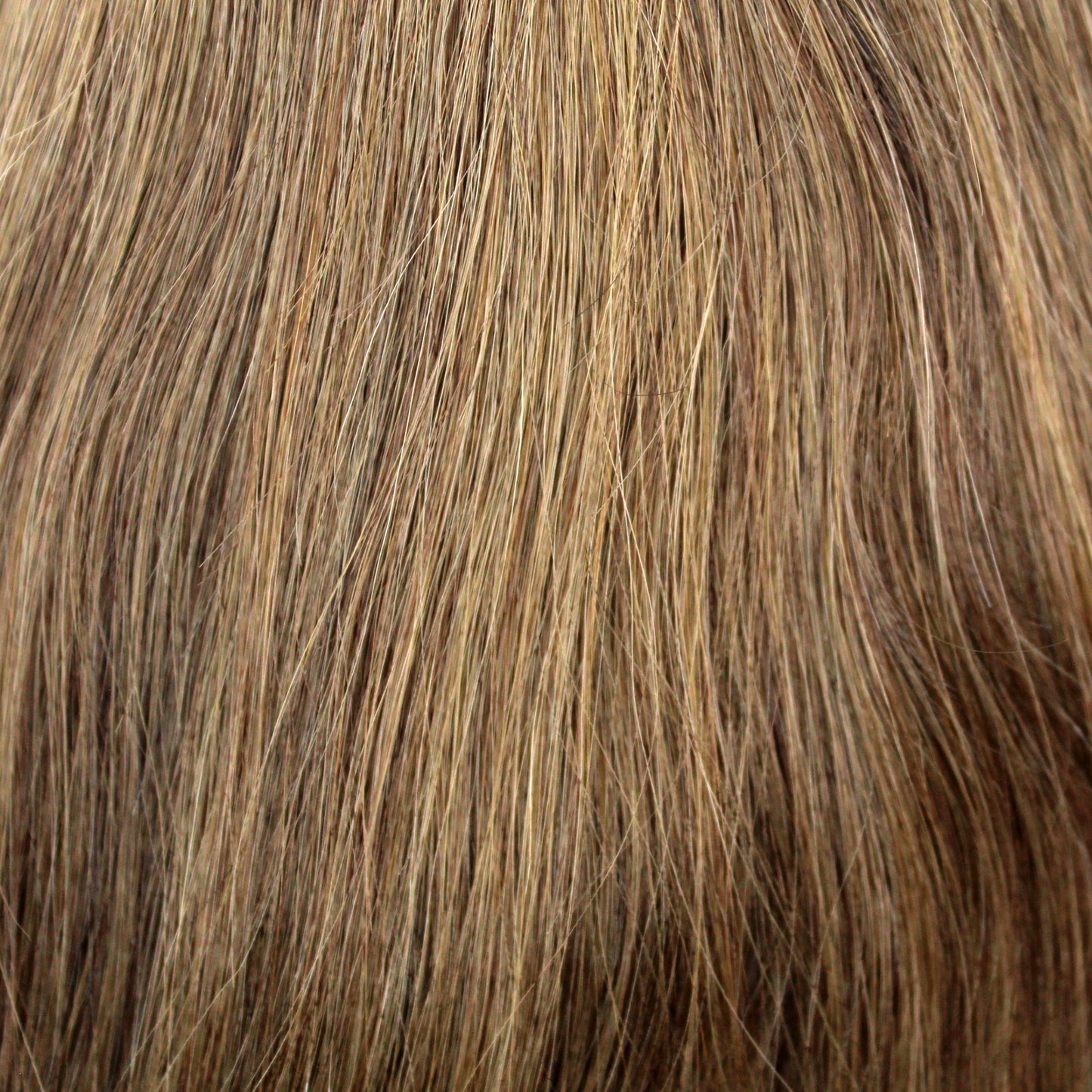 Machine Weft | #A8